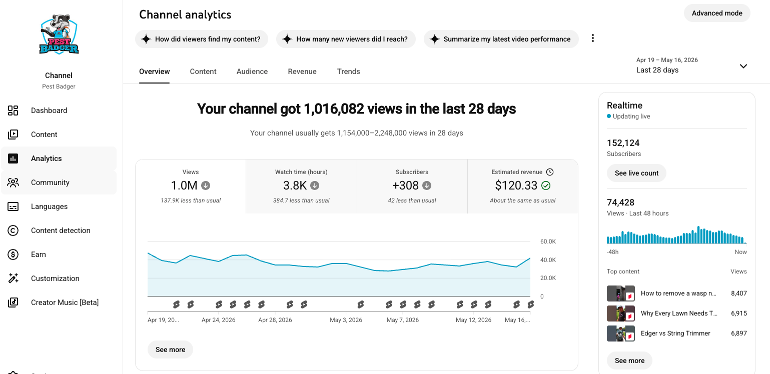 Pest Badger YouTube Studio analytics